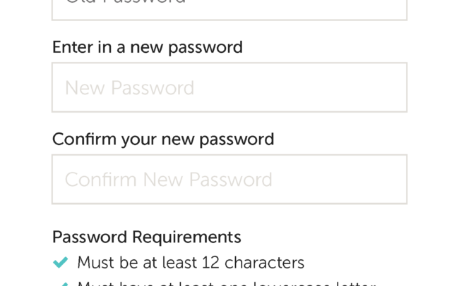 Mobile settings comp depicting a password change screen